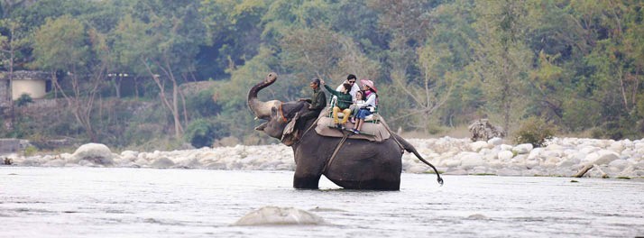 525/Club Mahindra Corbett - Corbett National Park 10.jpg